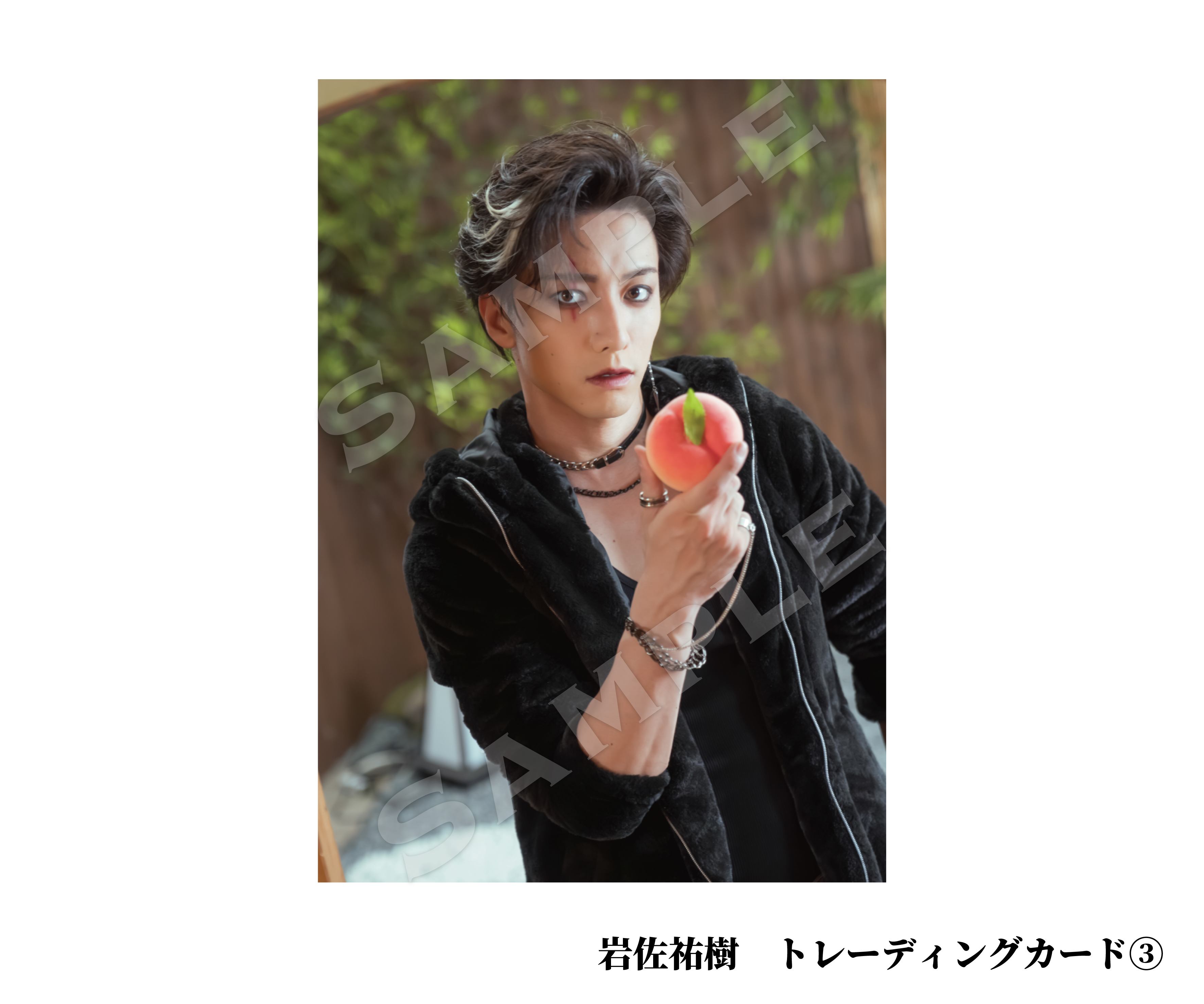 T-gene stage「Episode 犬紀村 ～MOMOTARO～」Goods sample